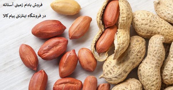 فروش بادام زمینی